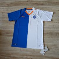 Оригинална мъжка тениска Puma DryCell x Grasshopper Club Zurich / Season 18-19 (Home), снимка 2 - Тениски - 45157018