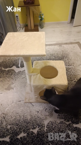 Котешка катерушка, снимка 2 - За котки - 53385916