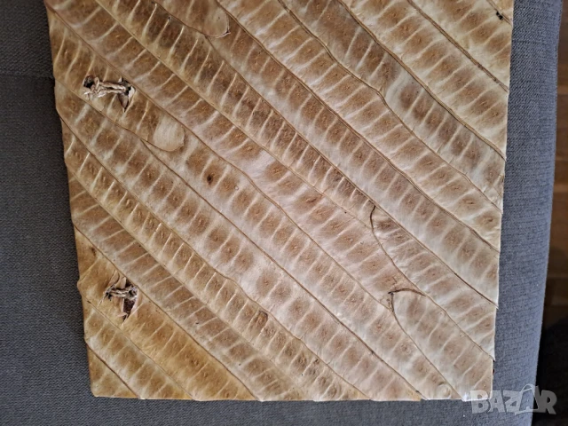 Албум за снимки ръчна изработка от естествени материали, снимка 5 - Декорация за дома - 51324327