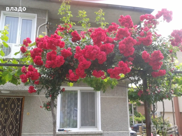 Квартира в Обзор, снимка 7 - Апартаменти - 53839695