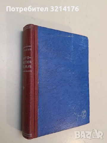 Парижката Света Богородица - Виктор Юго (с подвързия), снимка 2 - Художествена литература - 52304228