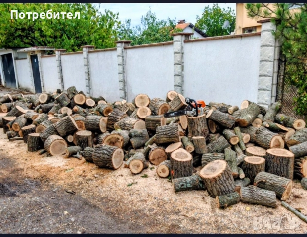 рязане на дърва за огрев и кастрене на дървета, снимка 5 - Други услуги - 51897190