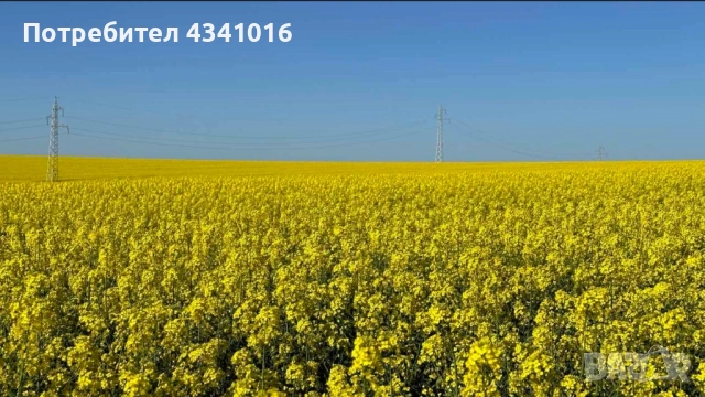 Купувам Земеделска Земя