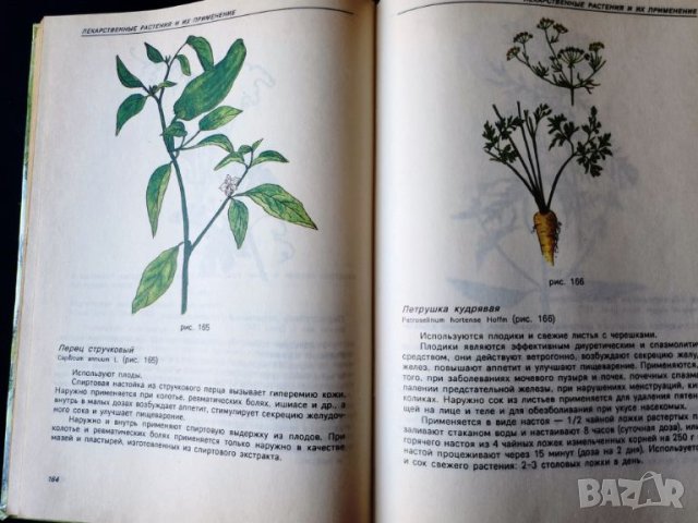 Лекарствени растения - Лекарственные растения в каждом доме и Горските плодове-храна и лечебно средс, снимка 3 - Специализирана литература - 46714682