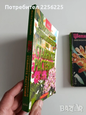 ЛОТ Стайни растения, снимка 13 - Специализирана литература - 53564703