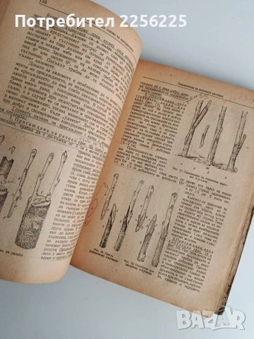 Овощарство 1954г , снимка 7 - Специализирана литература - 53075504