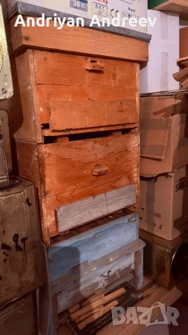 2 броя пчелни семейства и инвентар, снимка 7 - За пчели - 53749387