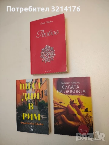 (НОВА!) Силата на любовта - Елизабет Чандлър