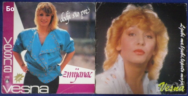 грамофонни плочи Miroslav Ilic, Vesna Zmijanac, Tozovac, Snezana Babic..., снимка 7 - Грамофонни плочи - 36888551