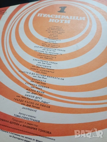 Грамофонни плочи, хитове със забавна музика, световно известни изпълнители , снимка 2 - Грамофонни плочи - 53150774