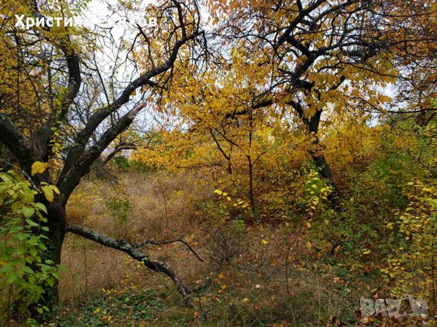 Парцел в село Войнеговци, снимка 7 - Парцели - 45796291