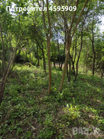 Парцел в Плевен м-ст Плочата , снимка 7 - Парцели - 53083221