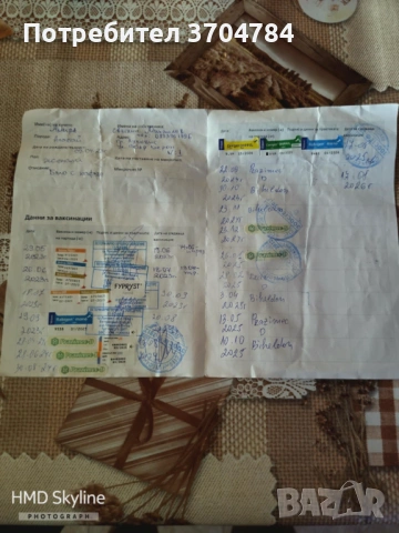 Продавам Сао алабай , снимка 5 - Алабай - 53403323