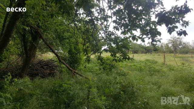 Продавам къща в село червенци 65км от варна, снимка 4 - Къщи - 53589553