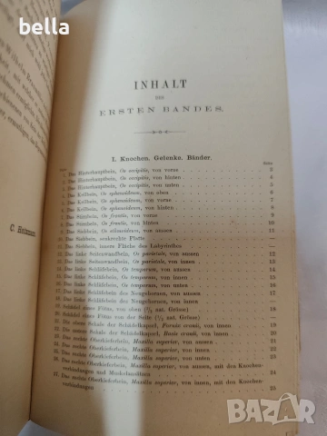 Антикварен медицински атлас по Анатомия (1875 г.) – Dr. Heitzmann 1875 год. , снимка 7 - Антикварни и старинни предмети - 53618907