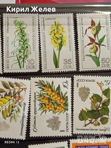 Стари пощенски марки от цял свят смесени ЦВЕТЯ без печат за КОЛЕКЦИЯ 52093, снимка 6 - Филателия - 53228596