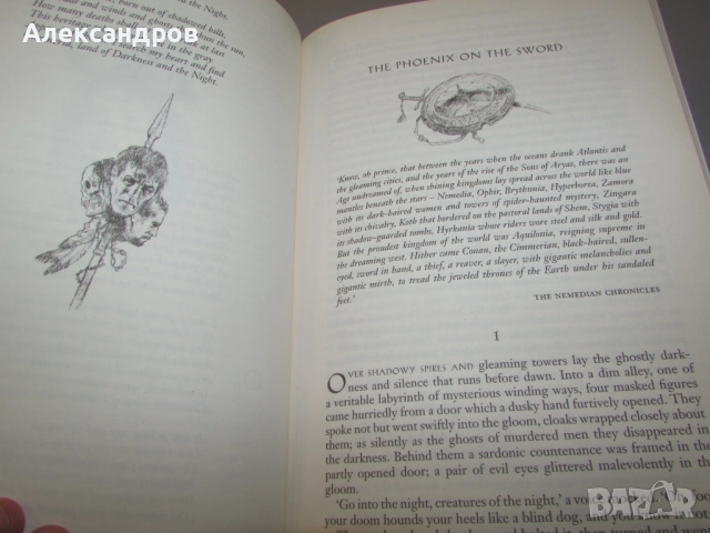 The Complete Chronicles of Conan, снимка 6 - Художествена литература - 52211436