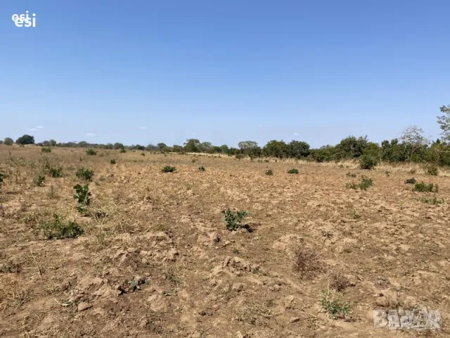 29 Декара Земеделска земя в община Дългопол село Рояк и село Красимир, снимка 1 - Земеделска земя - 46826403