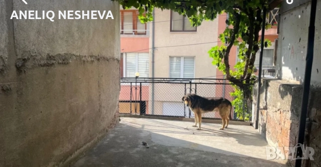 Продавам два етажа от къща по 89 кв.м. от три етажна къща с парцел от 226кв.м., снимка 13 - Къщи - 52424034