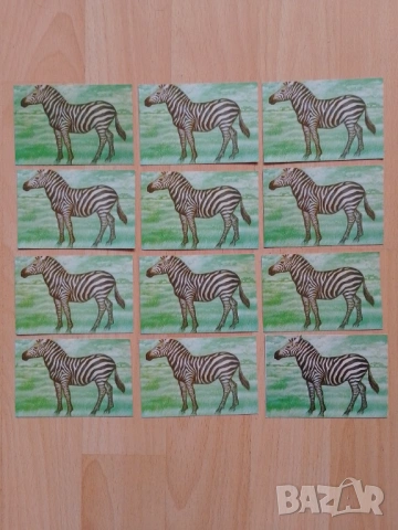 Календарчета животни , снимка 4 - Колекции - 53409689