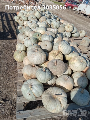Продавам тикви, снимка 3 - Домашни продукти - 52455835