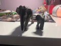 Schleich-слонове, снимка 2