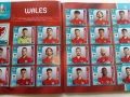 Албум със стикери "UEFA EURO 2020" PANINI, снимка 10