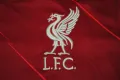 Оригинална тениска nike Liverpool 2021/2022, снимка 3