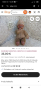 Голяма ретро/винтидж оригинална кукла Monchichi , снимка 9