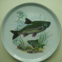 Порцеланови чинии с рисунки на различни риби , снимка 4 - Въдици - 45356450