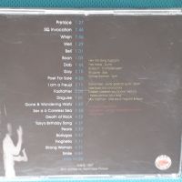 Daevid Allen(Gong) – 1997 - Divided Alien Clockwork Band(Abstract,Experimental,Minimal), снимка 4 - CD дискове - 45096764