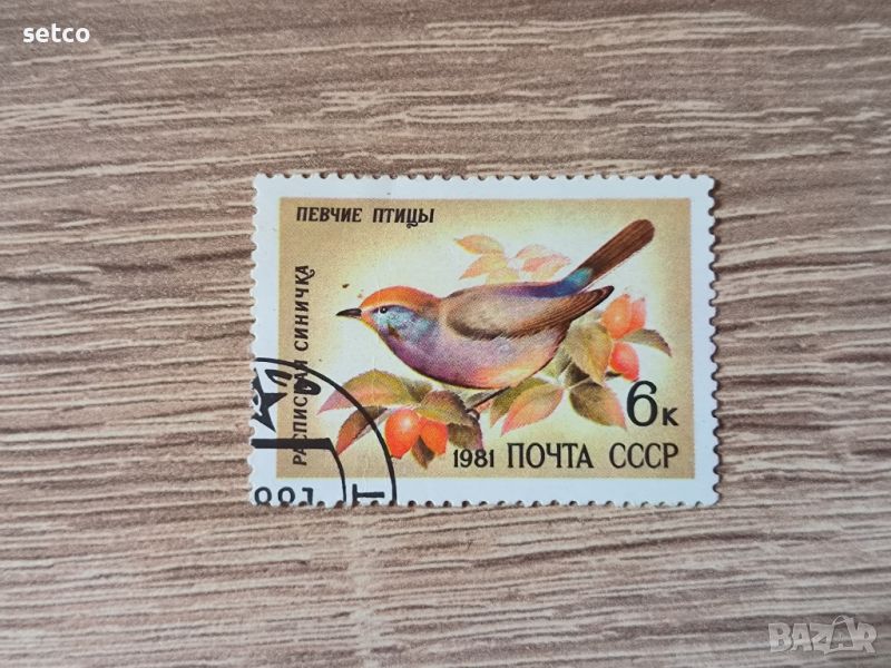 СССР Фауна пойни птици 1981 г., снимка 1