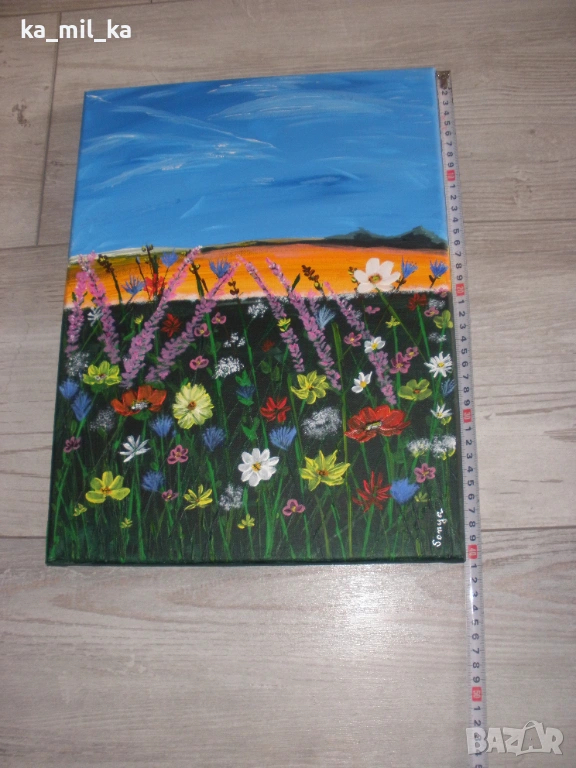 Картина - Маслени Бои, снимка 1