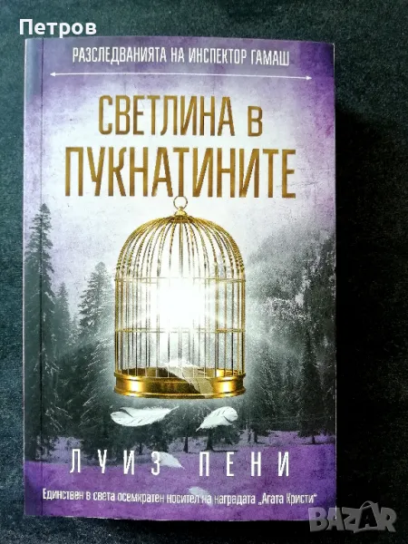 Луиз Пени — Светлина в пукнатините, снимка 1