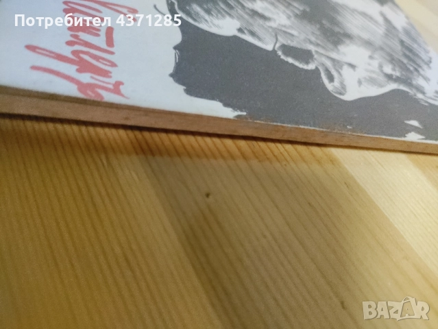 Адолф Хитлер-автор Лука Малеев, снимка 2 - Художествена литература - 51938895