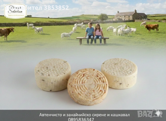Продавам домашен краве кашкавал и сирене , снимка 2 - Кози - 52973705