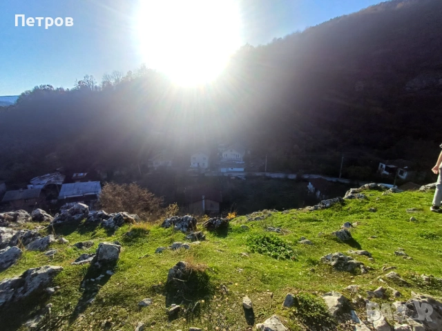 Предлагам 3000/5000е за услуга.