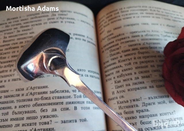 Посребрено черпаче, снимка 3 - Прибори за хранене, готвене и сервиране - 52436326