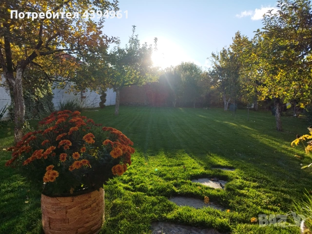 Косене трева, озеленяване, поливни системи, абонаментна поддръжка , снимка 10 - Други услуги - 53760821