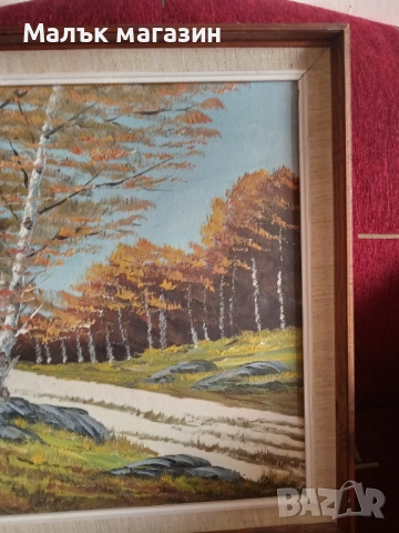 Картина с масло, подписана без забележки, снимка 4 - Картини - 54217415