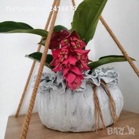 Магазин за ръчно изработени подаръци, снимка 10 - Градински цветя и растения - 45117673