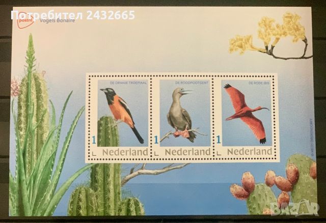 2115. Нидерландия 2024 - “ Фауна. Птици от остров Бонер. “, **, MNH, снимка 1 - Филателия - 45926891