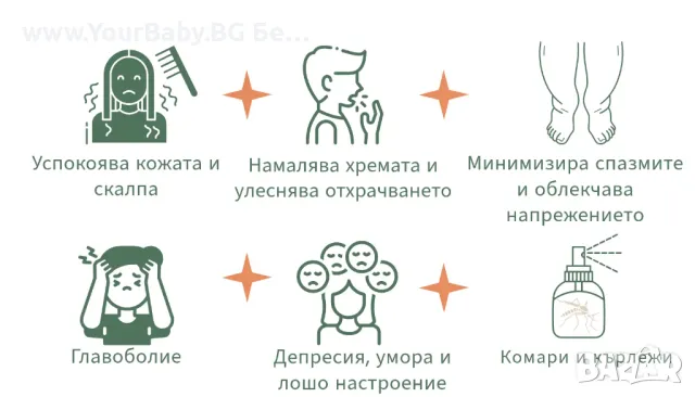 Oilo БИО Етерично Масло от Кора от Цитронела (Cymbopogon winterianus) - Citronella Oilo 5 мл., снимка 5 - Други - 49721731