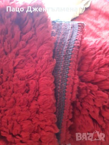 Вълнен китеник, снимка 2 - Други - 53872036