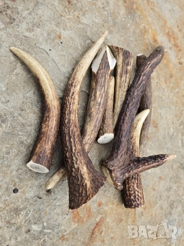 Лот от 8бр Еленски рокца , снимка 3 - Други - 52033288