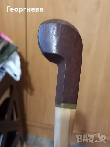 Лула светъл мущук