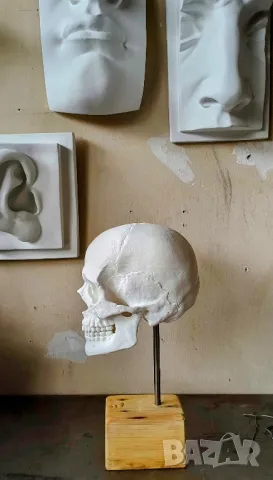 Гипсови Форми за Рисуване / Декорация / Нос / Ухо / Око / Уста, снимка 15 - Декорация за дома - 48825906