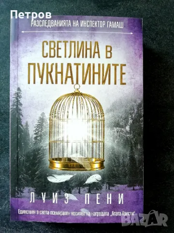 Луиз Пени — Светлина в пукнатините, снимка 1 - Художествена литература - 49311729