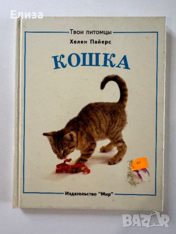 Кошка. Песчанки. Книга 2 в 1, снимка 1 - Енциклопедии, справочници - 45608111