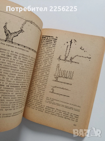 Практическо лозарство и винарство, снимка 4 - Специализирана литература - 53922704